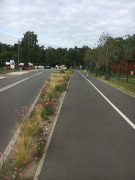 Zdj  cie WhatsApp 2025 03 26 o 15 31 11 052c8cad