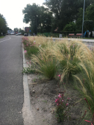 Zdj  cie WhatsApp 2025 03 26 o 15 31 11 aa66893f