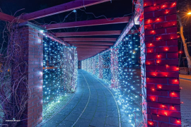 Zdj  cie WhatsApp 2025 03 26 o 15 31 14 c871bde3