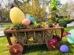 Zdj  cie WhatsApp 2025 03 26 o 15 31 26 7b019346