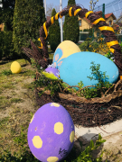 Zdj  cie WhatsApp 2025 03 26 o 15 31 27 8ee0365f