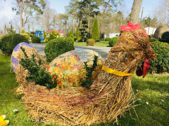 Zdj  cie WhatsApp 2025 03 26 o 15 31 27 a66b2e29