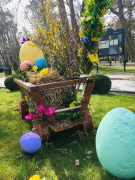 Zdj  cie WhatsApp 2025 03 26 o 15 31 27 c7ce57dc