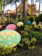 Zdj  cie WhatsApp 2025 03 26 o 15 31 28 60bc02a4