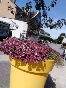 Zdj  cie WhatsApp 2025 03 26 o 15 31 29 336950bd