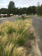 Zdj  cie WhatsApp 2025 03 26 o 15 31 32 3d364cae