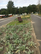 Zdj  cie WhatsApp 2025 03 26 o 15 31 33 b1d0472d