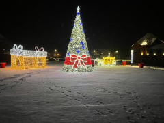 Zdj  cie WhatsApp 2025 03 26 o 15 32 08 9c2c1f91