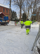 Zdj  cie WhatsApp 2025 03 26 o 15 33 42 5acdcf2b