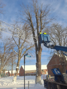 Zdj  cie WhatsApp 2025 03 26 o 15 33 43 1f3b9fa5