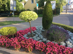 Zdj  cie WhatsApp 2025 03 26 o 15 35 13 1bcafcd3