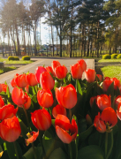 Zdj  cie WhatsApp 2025 03 26 o 15 35 13 95efcc68 0