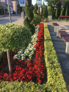 Zdj  cie WhatsApp 2025 03 26 o 15 35 13 cfd5802b