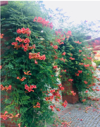 Zdj  cie WhatsApp 2025 03 26 o 15 35 14 3942ca99