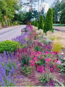 Zdj  cie WhatsApp 2025 03 26 o 15 35 14 bc203dbe