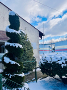 Zdj  cie WhatsApp 2025 03 26 o 15 35 19 c14a7815