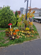 Zdj  cie WhatsApp 2025 04 04 o 09 50 32 732b0782