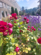 Zdj  cie WhatsApp 2025 04 04 o 09 52 02 1d7b4c93 0