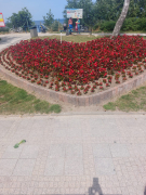 Zdj  cie WhatsApp 2025 04 04 o 09 54 40 cc98e159