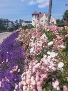 Zdj  cie WhatsApp 2025 04 04 o 09 55 24 ab4cb37c