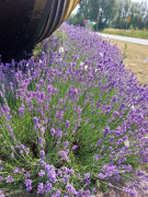 Zdj  cie WhatsApp 2025 04 04 o 09 59 53 90594f45