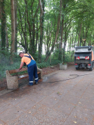 Zdj  cie WhatsApp 2025 04 04 o 09 59 54 85830b45