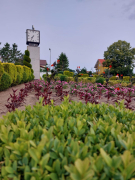 Zdj  cie WhatsApp 2025 04 04 o 09 59 54 9ab01a57